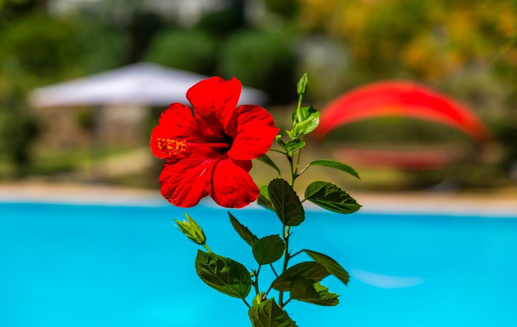 Marmaris Holiday Villas Bagian luar foto